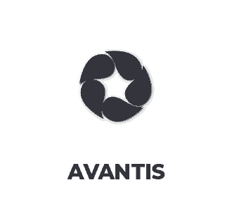 Ремонт карданных валов Avantis